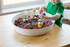 Toy | Push Puppet | Flower Pot (Assorted)