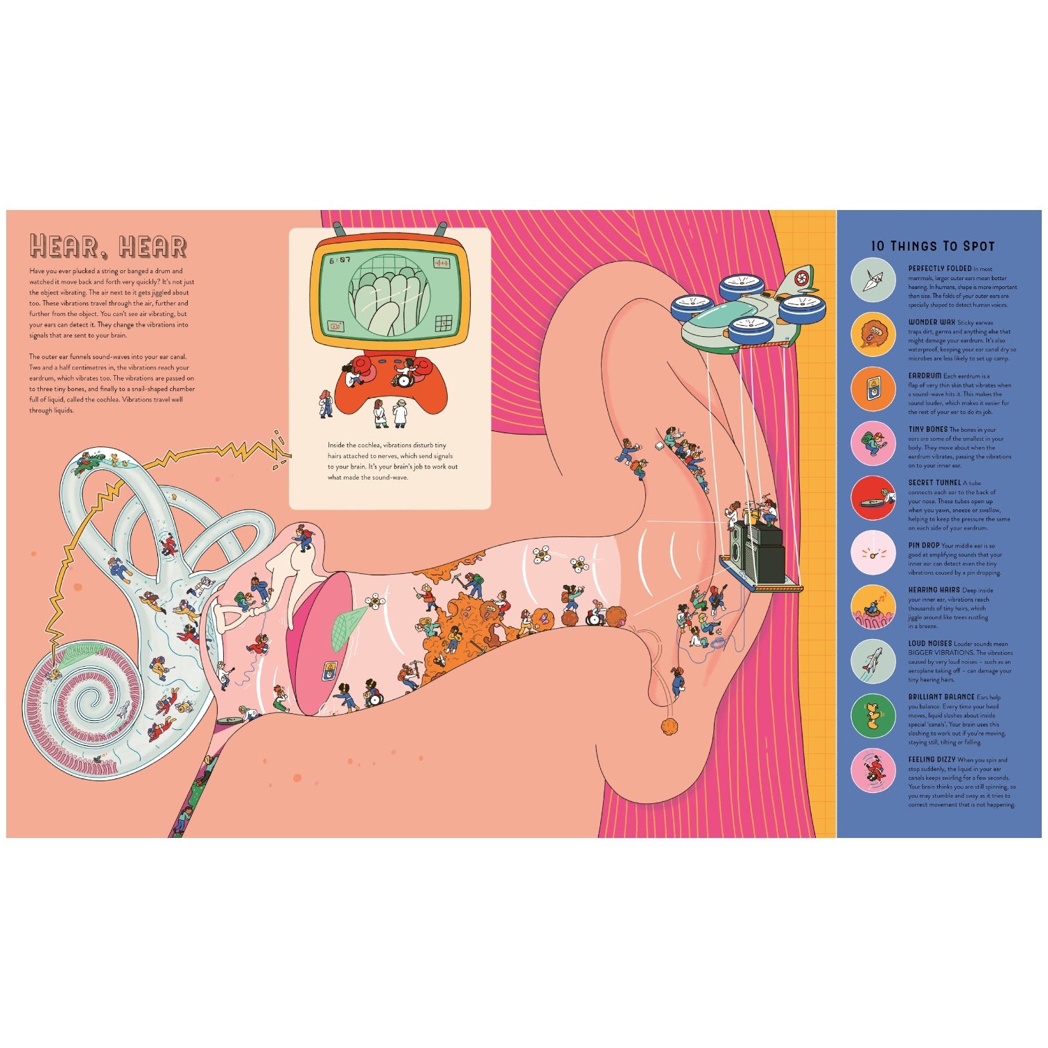 book - human body - up close & incredible by quarto usa