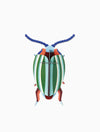 3D Insect Puzzle | Small Beetle |