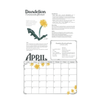 Calendar | Oklahoma Wildcrafting 2027 | St Francis of the Woods