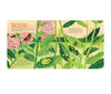 Book | Monarch Butterflies
