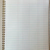 notebook - vintage ledger style by parcel