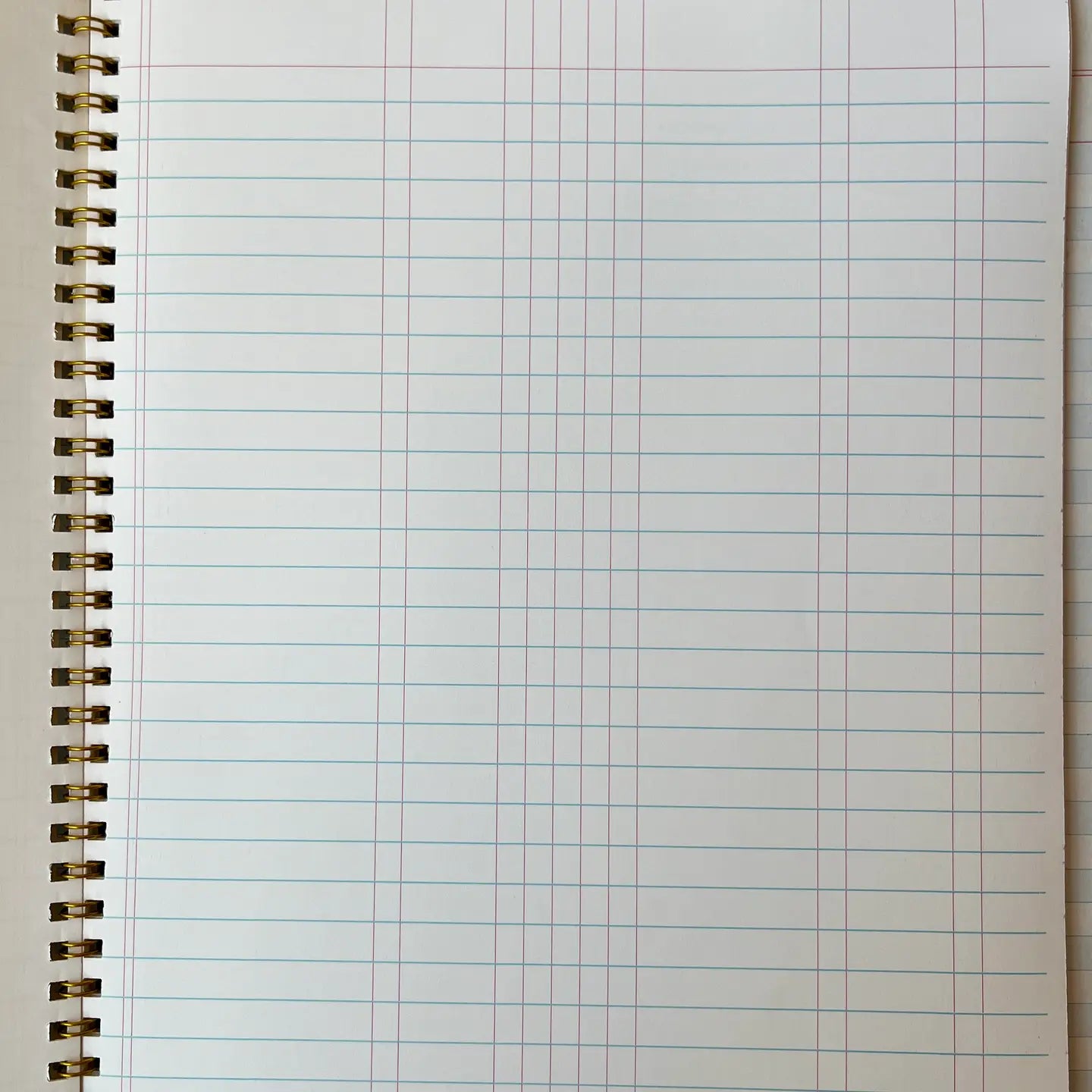 notebook - vintage ledger style by parcel