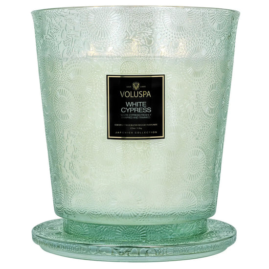candle - japonica - white cypress by voluspa