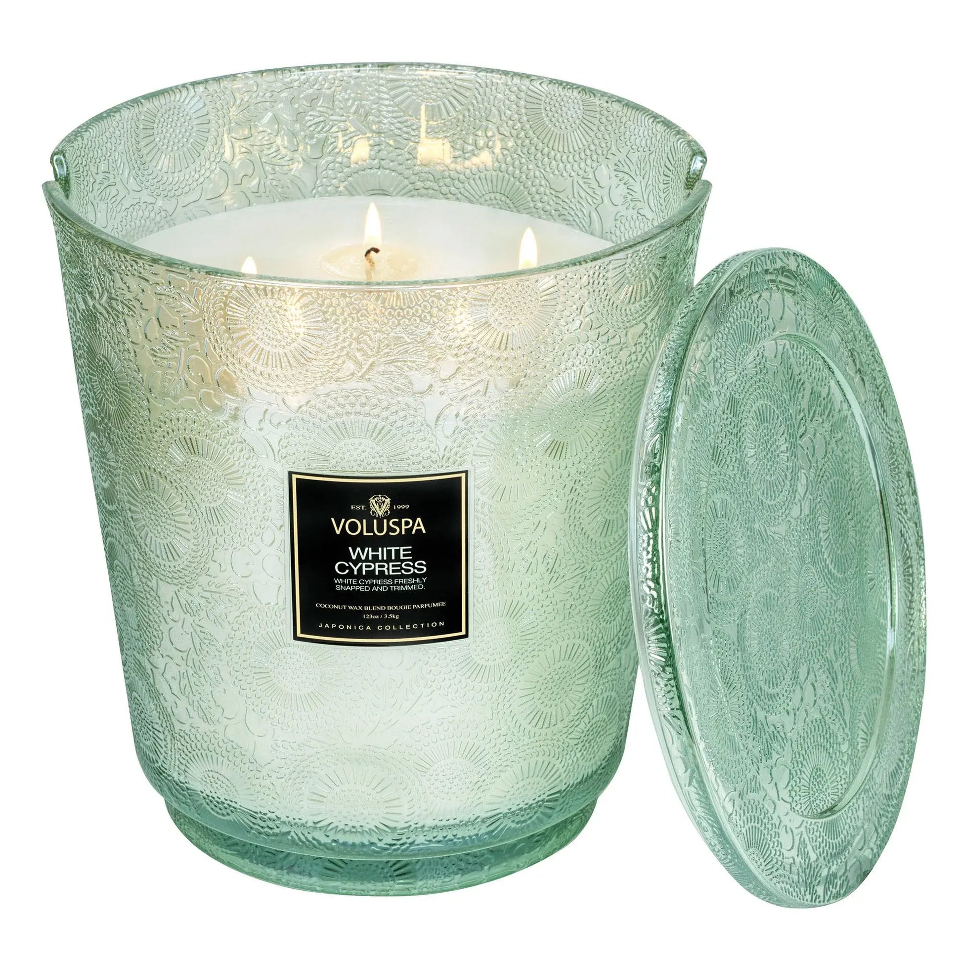 candle - japonica - white cypress by voluspa