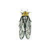 brooch pin - walker's cicada by trovelore