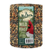 bird seed cylinder - wild bird feast by mr. bird