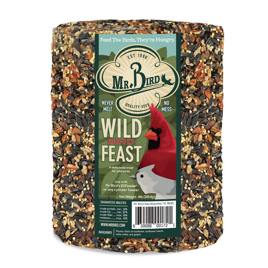 bird seed cylinder - wild bird feast by mr. bird
