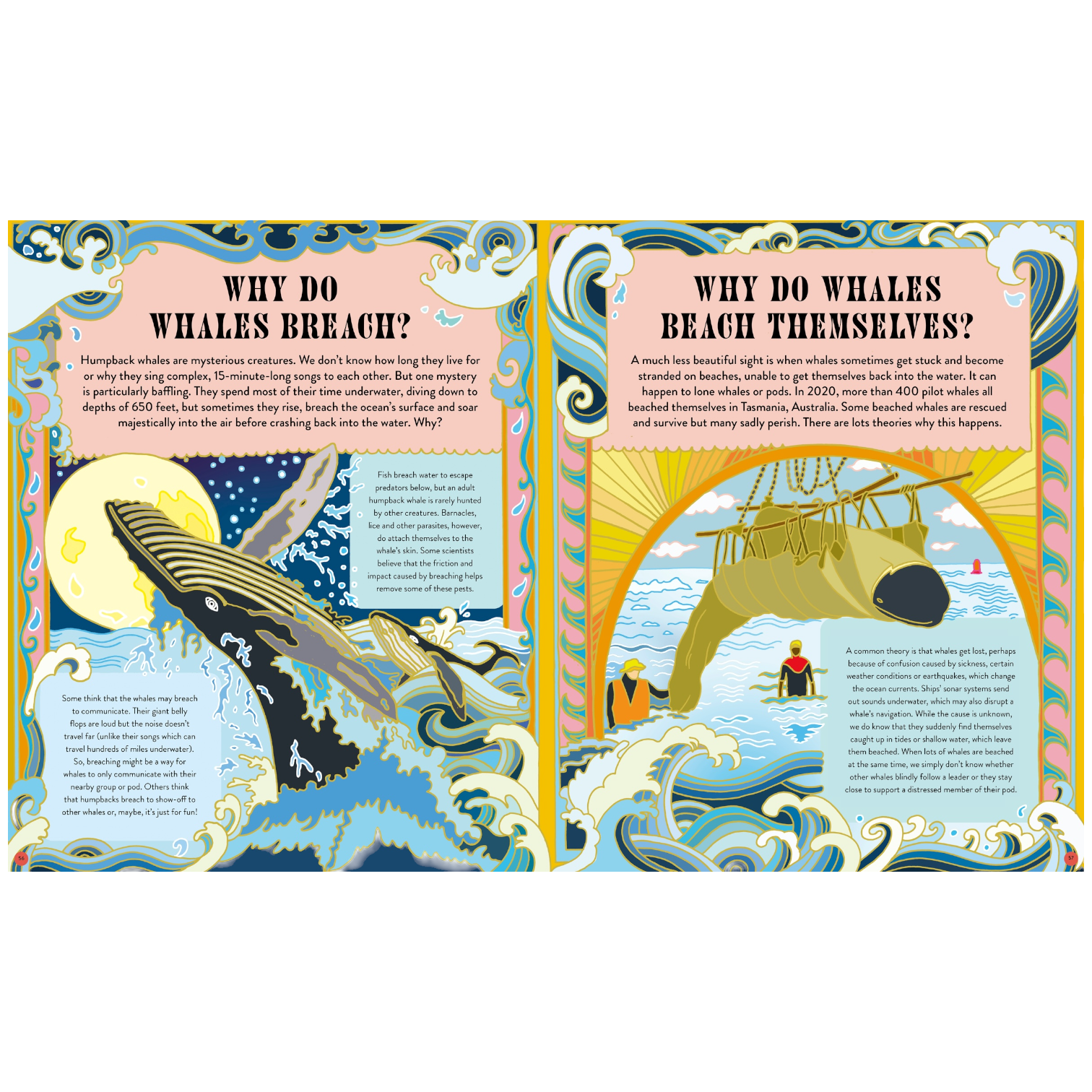 book - welcome to the mysteryverse by quarto usa