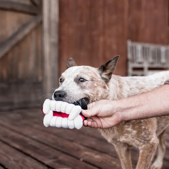 dog plush toy - halloween by p.l.a.y.