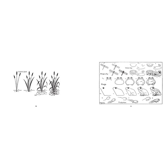 book - what to draw & how to draw it by applewood books