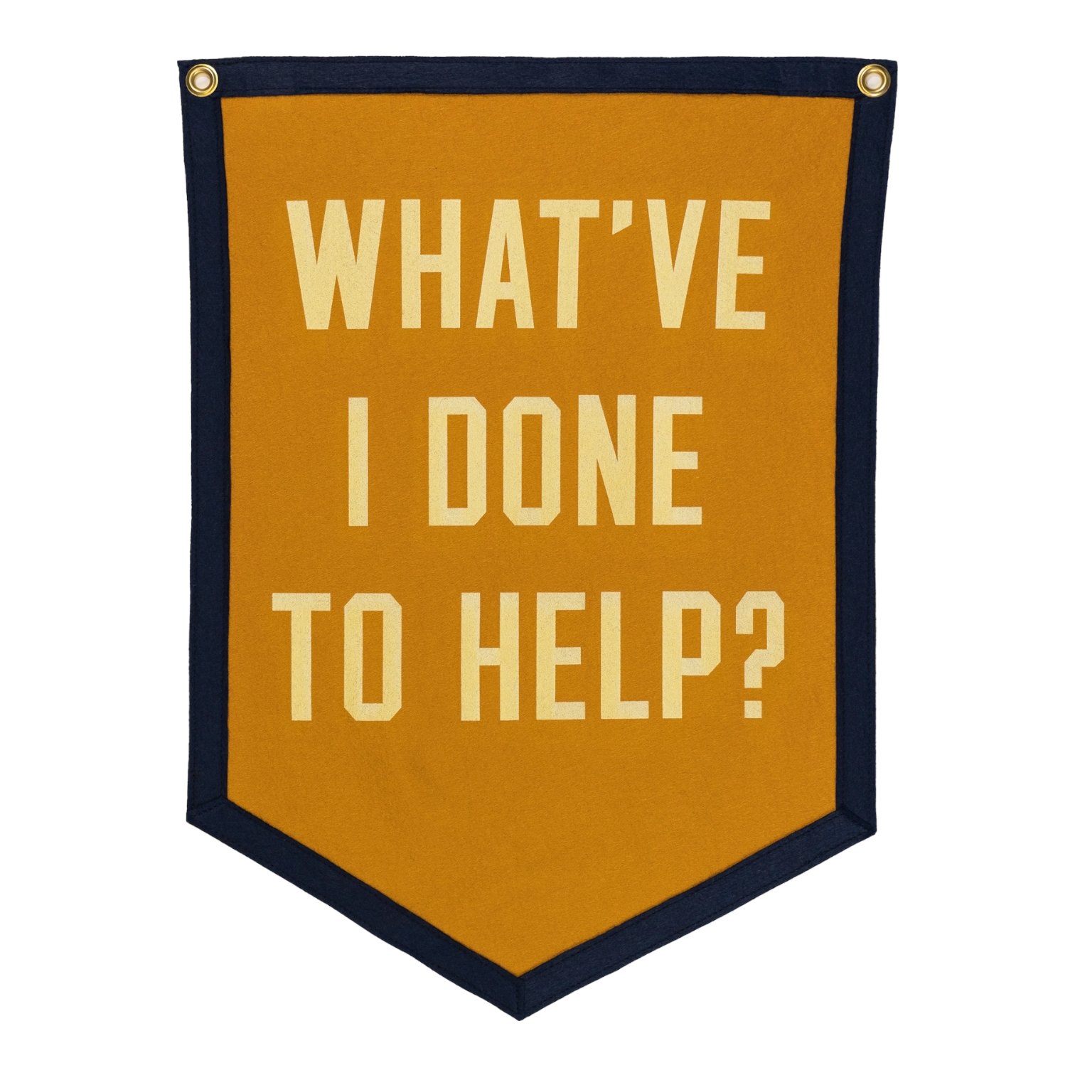 banner - camp flag - what've i done to help? by oxford pennant
