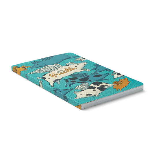 book - "write now" journal - it's possible by compendium