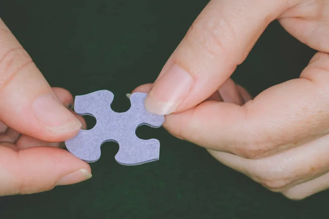 puzzle - 1000-piece - i had one of those by white mountain puzzles