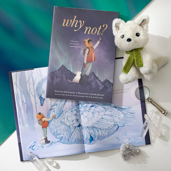 book - why not? by compendium