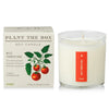 candle - wild tomato vine - 9oz by kobo candles