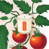 candle - wild tomato vine - 9oz by kobo candles