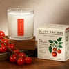 candle - wild tomato vine - 9oz by kobo candles