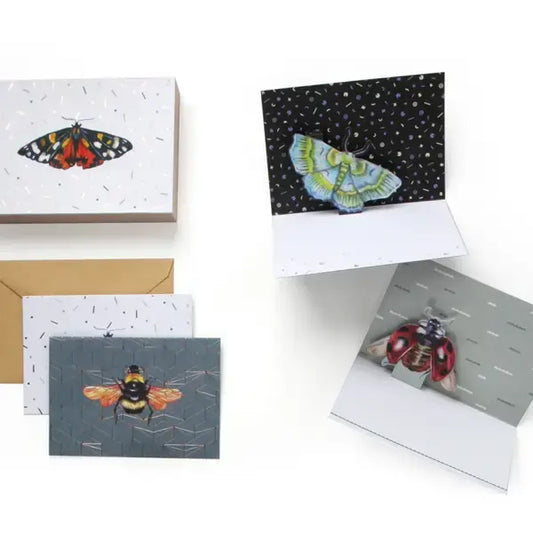 cards - box set - 3d pop-up - insect wings by uwp luxe