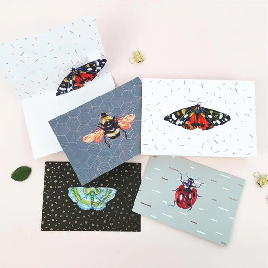 cards - box set - 3d pop-up - insect wings by uwp luxe