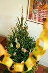 ornaments - recycled cotton paper - winter birds by east end press