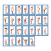 toy - flash cards wooden - sign language by beginagain