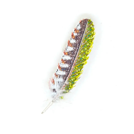 brooch pin - woodpecker feather by trovelore
