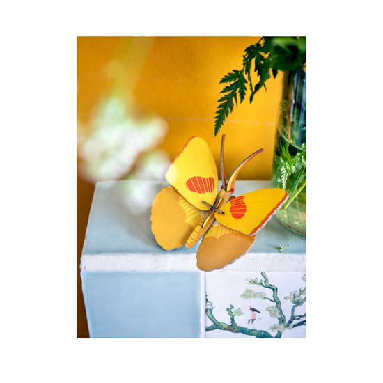 3d insect puzzle - small butterfly by studio roof