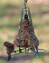 Bird Seed | Bell Hanger
