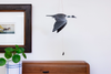 Mobile | Flying | Loon