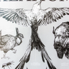 Art Print | Oklahoma Wildlife Chart | 19" x 27"